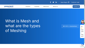 Pre-Scient - Mesh Solutions