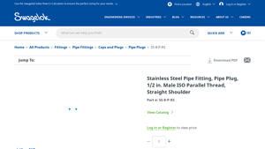 Swagelok - Stainless Steel Pipe Plug