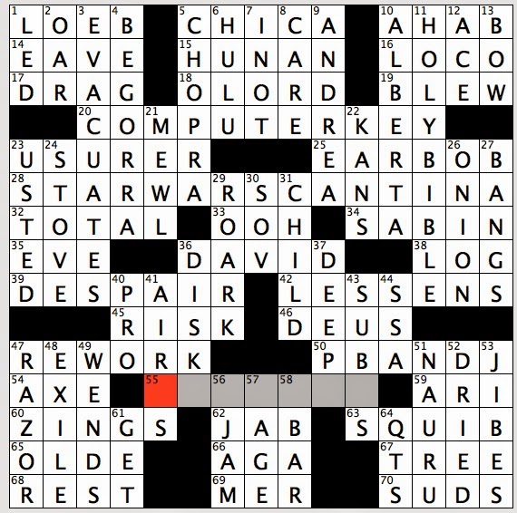 An application scenario or product detail of protective covering crossword clue - Image 3
