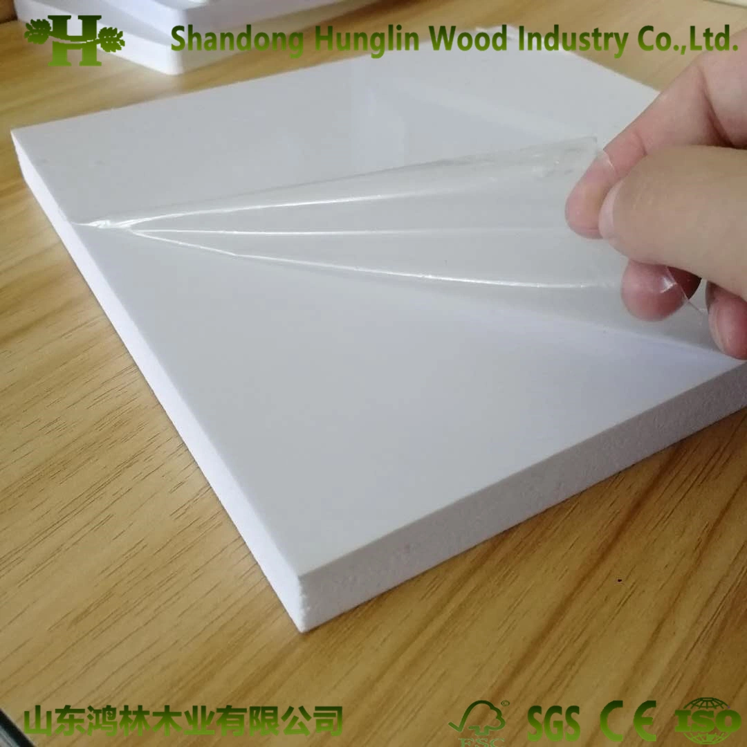 Featured image for the pvc board 4x8 guide