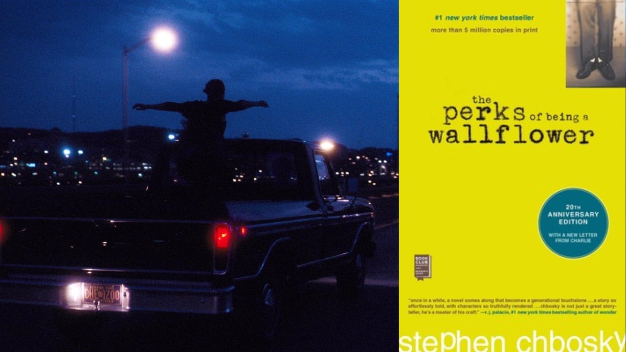 An application scenario or product detail of quotes from the book the perks of being a wallflower - Image 3