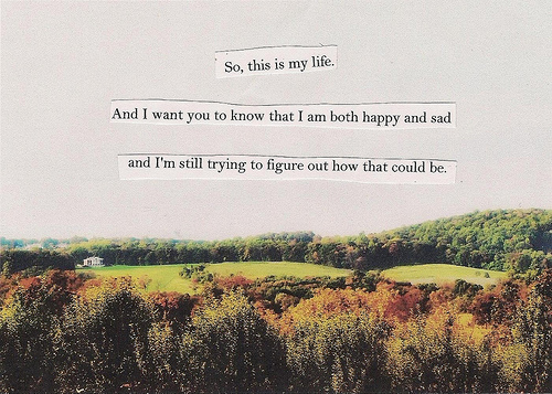 An application scenario or product detail of quotes from the book the perks of being a wallflower - Image 4