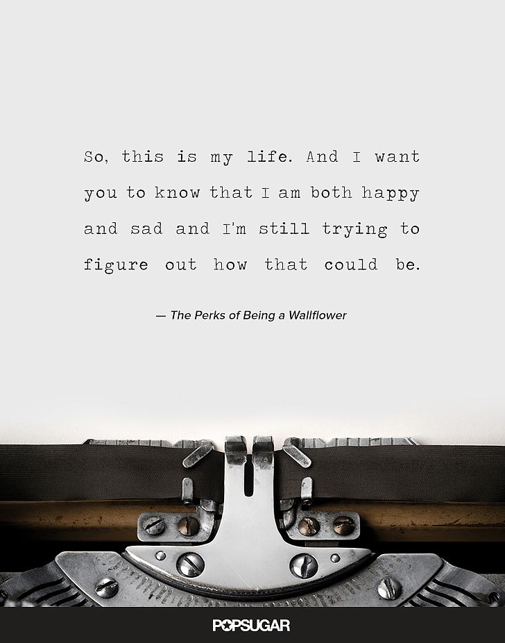 An application scenario or product detail of quotes from the perks of being a wallflower - Image 3
