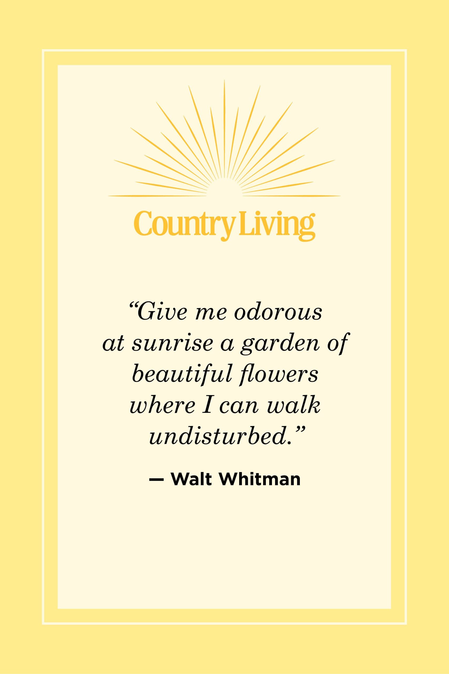 Featured image for the quotes on the sunrise guide
