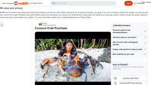 Reddit - Coconut Crab
