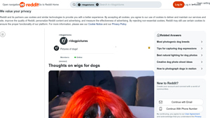 Dog Wigs - Etsy Shop Opportunity