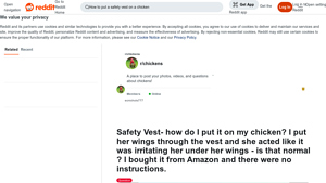 Amazon - Chicken Safety Vest