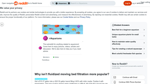 Fluidized Bed Filtration - Easy Setup System