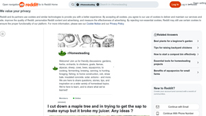 MapleTree - Pure Syrup Extractor