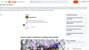 Reddit - Wireframe Hanging Plant Basket