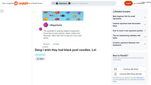 Reddit - Black Pool Noodle Alternatives