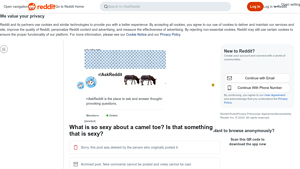 Reddit - The Strength of Camels