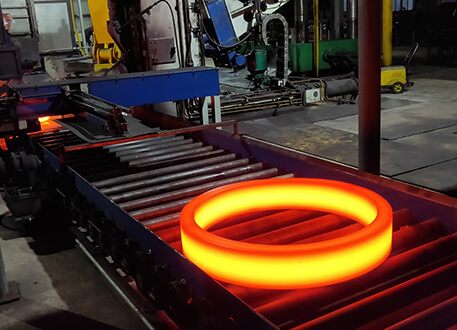 An application scenario or product detail of rolled ring forging - Image 15