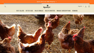 Roostys - Solar Chicken Coop Heaters
