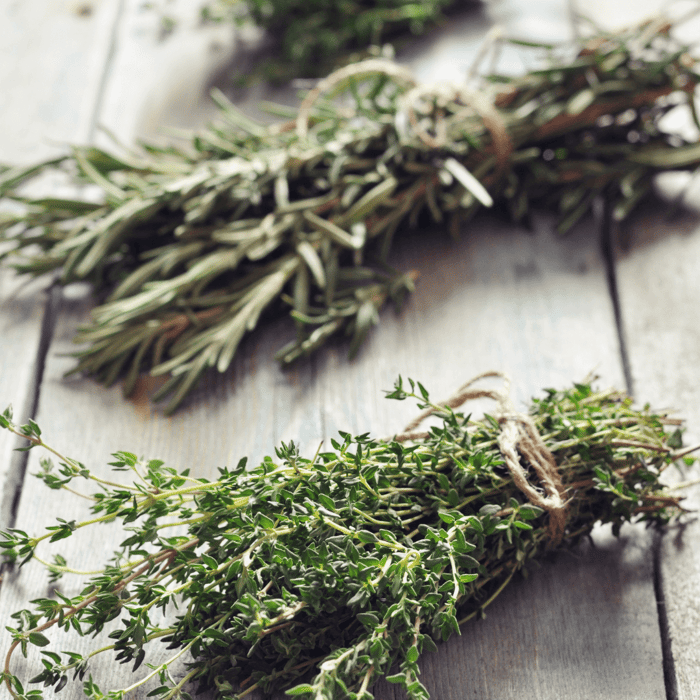 An application scenario or product detail of rosemary vs thyme - Image 2