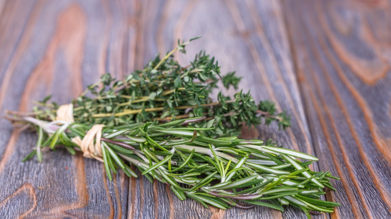 An application scenario or product detail of rosemary vs thyme - Image 4