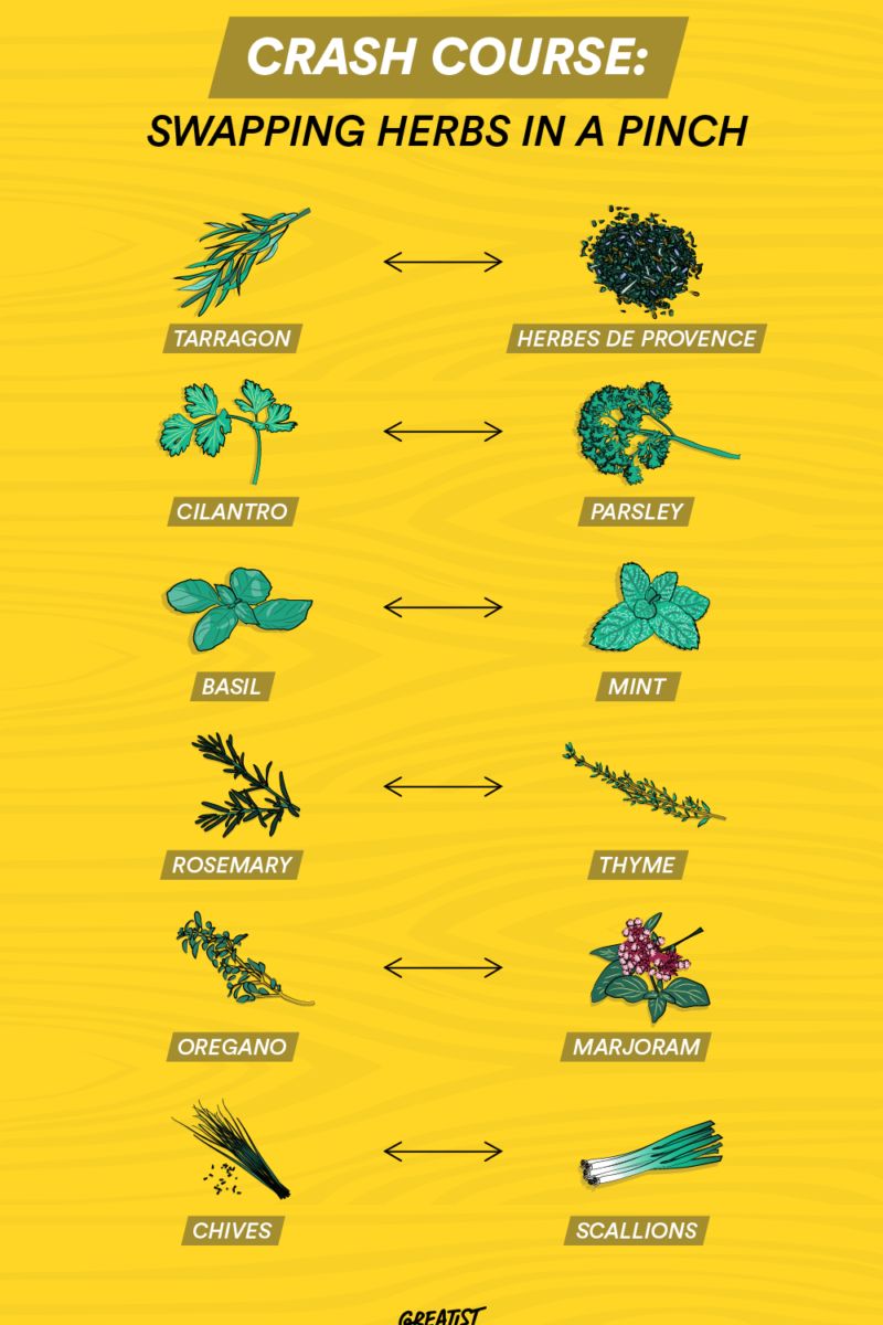 An application scenario or product detail of rosemary vs thyme - Image 12