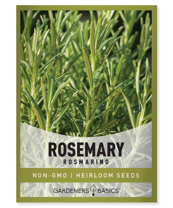 An application scenario or product detail of rosemary vs thyme - Image 14