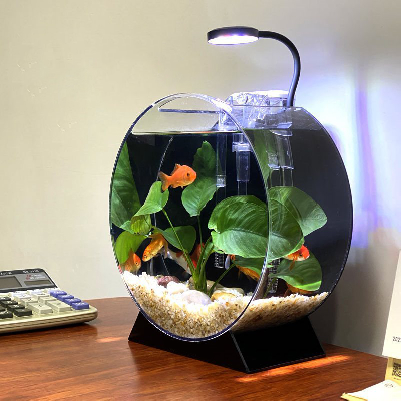 An application scenario or product detail of round fish tank - Image 2