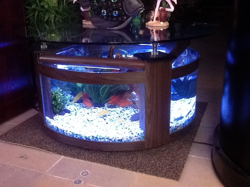 An application scenario or product detail of round fish tank - Image 4