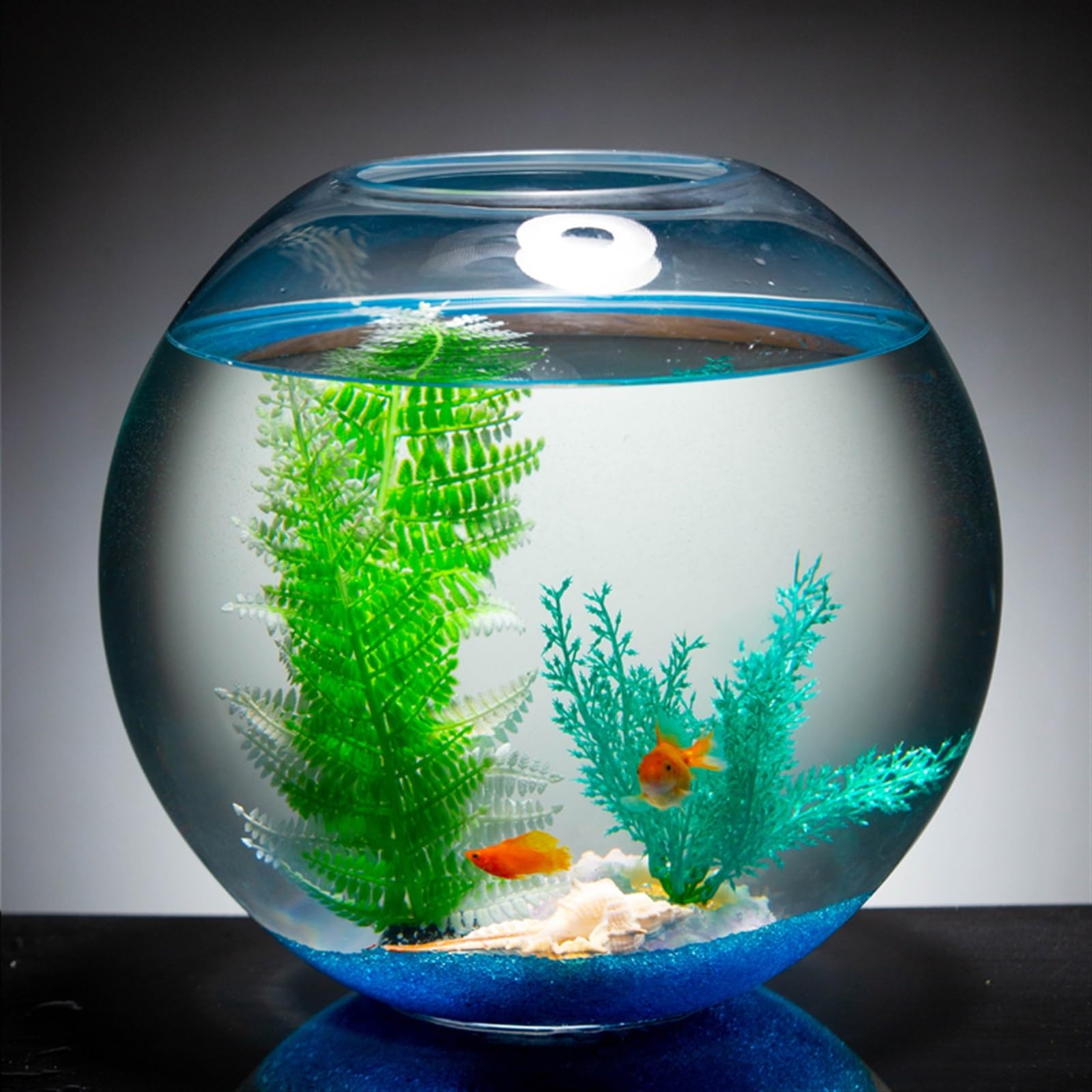 An application scenario or product detail of round fish tank - Image 8
