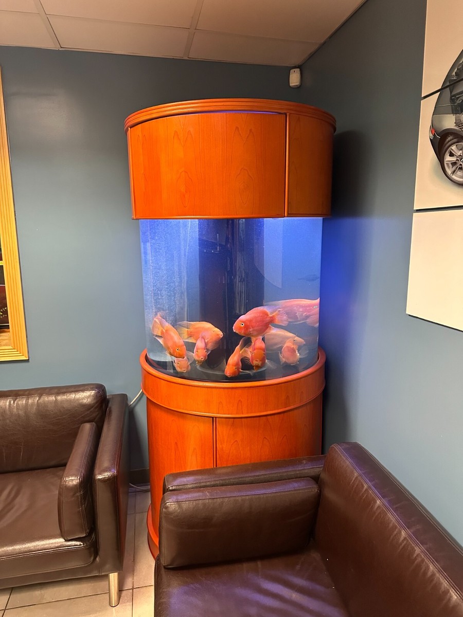 An application scenario or product detail of round fish tank - Image 17