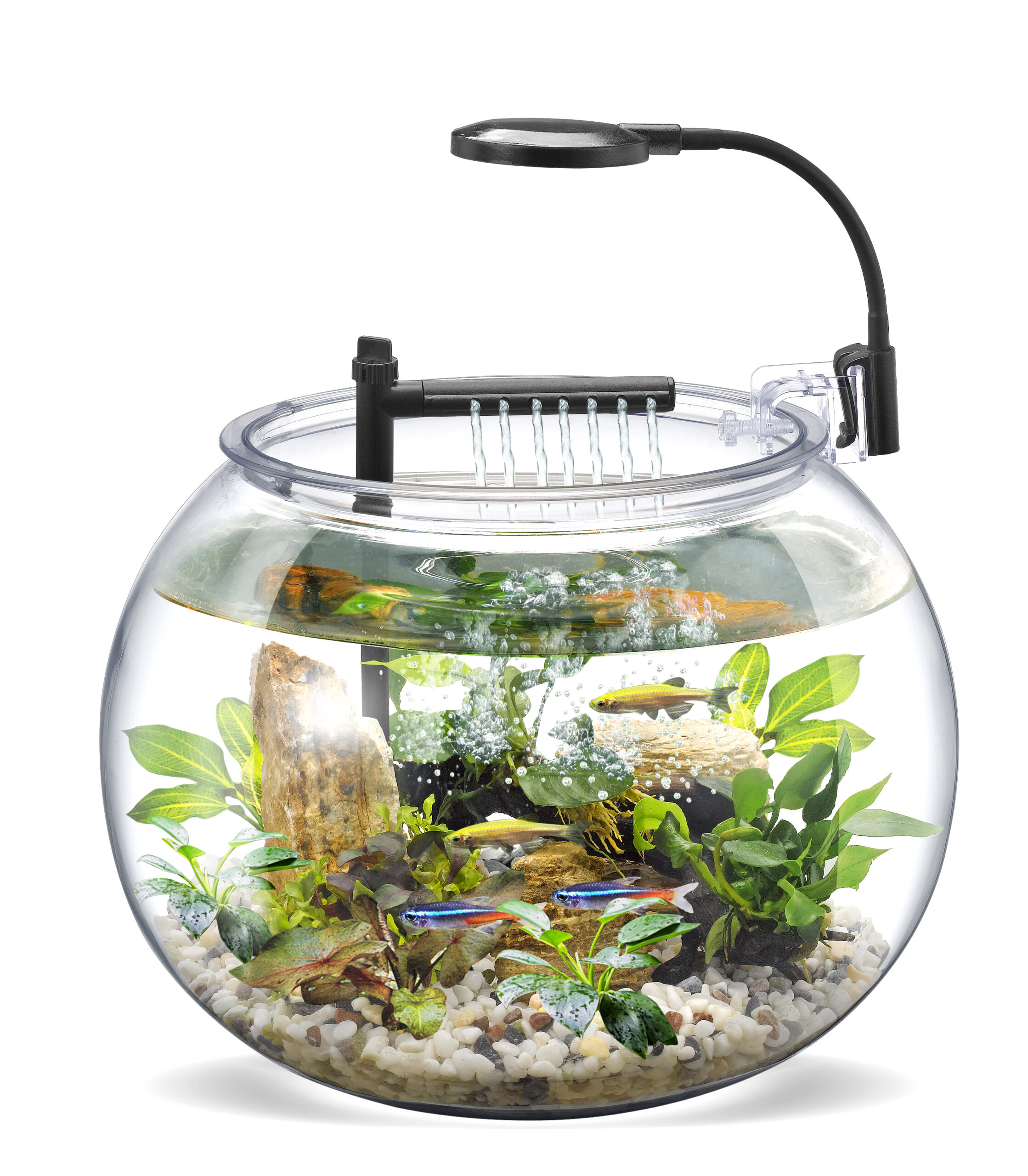 An application scenario or product detail of round fish tank - Image 20