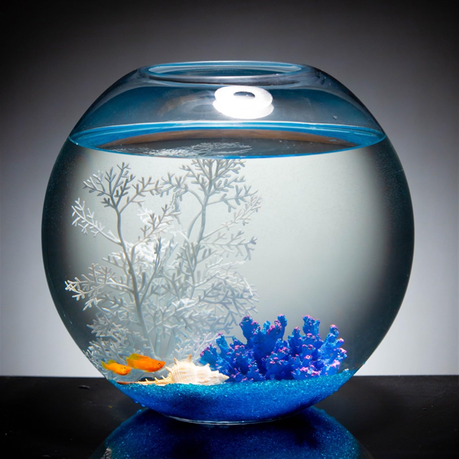An application scenario or product detail of round fish tank - Image 21