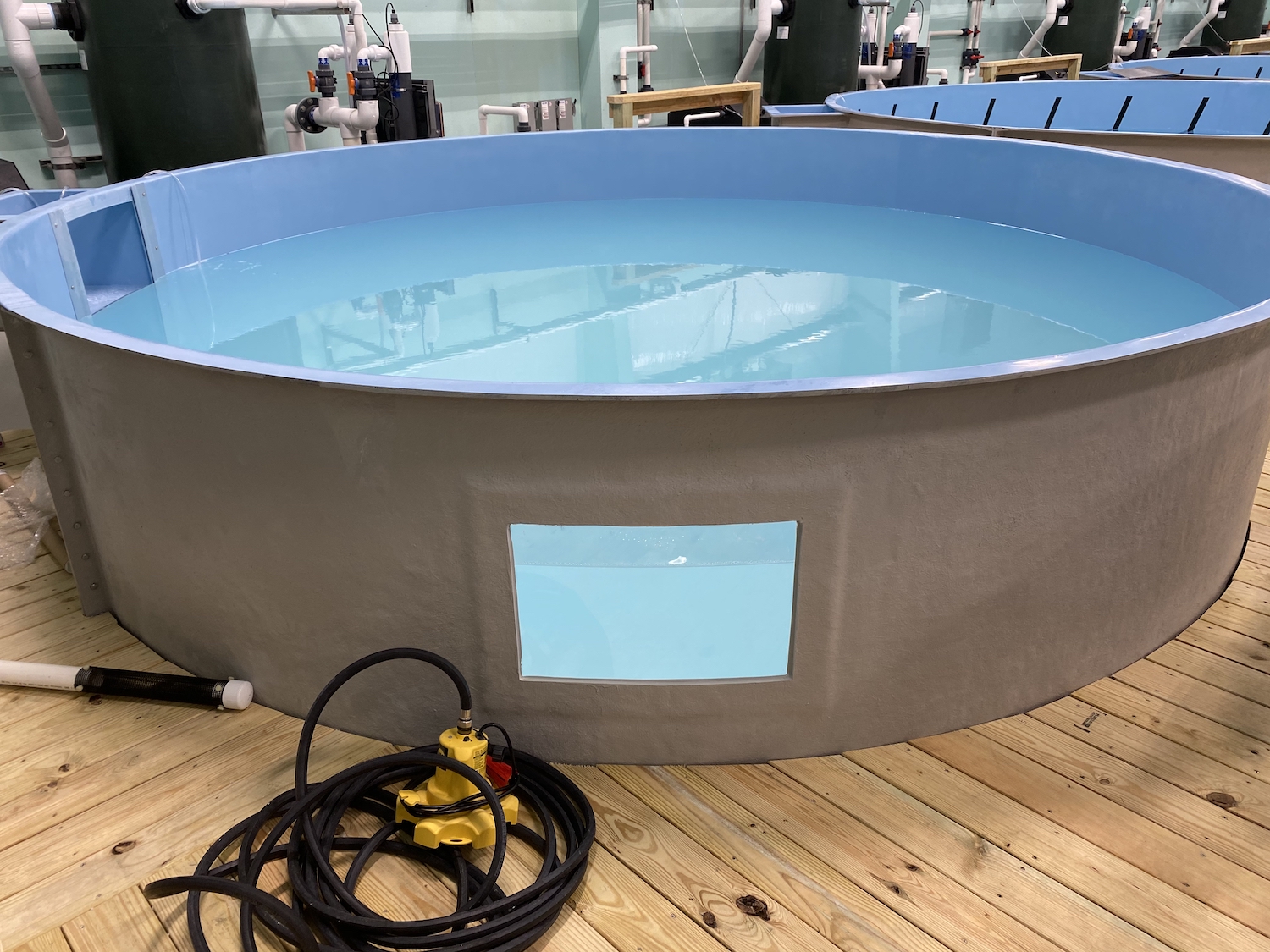 Featured image for the round fish tank guide