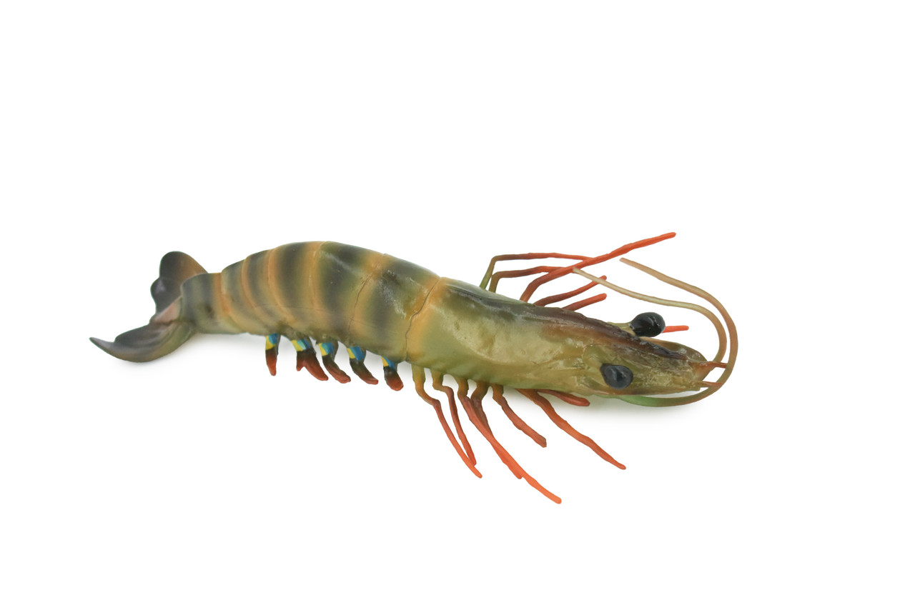 An application scenario or product detail of rubber toy squeaky shrimp - Image 3