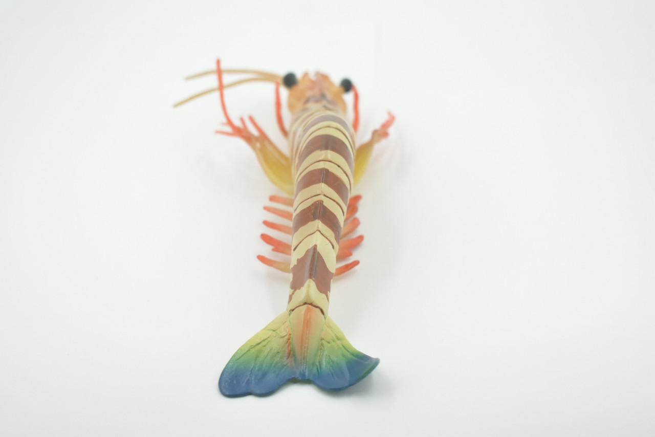 An application scenario or product detail of rubber toy squeaky shrimp - Image 5