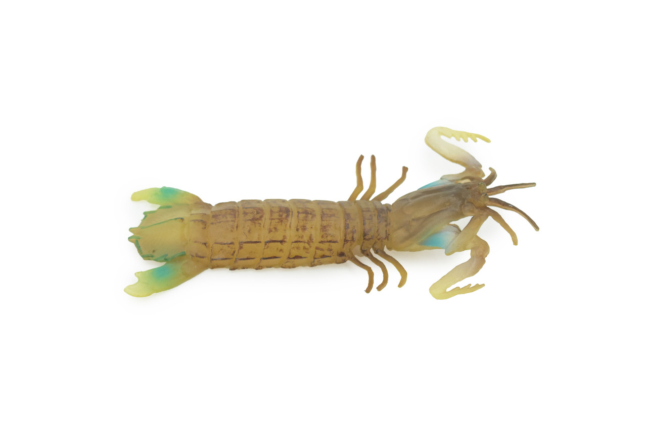 An application scenario or product detail of rubber toy squeaky shrimp - Image 9