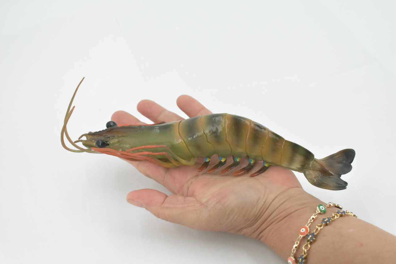 An application scenario or product detail of rubber toy squeaky shrimp - Image 13