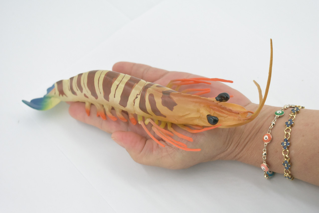 An application scenario or product detail of rubber toy squeaky shrimp - Image 16