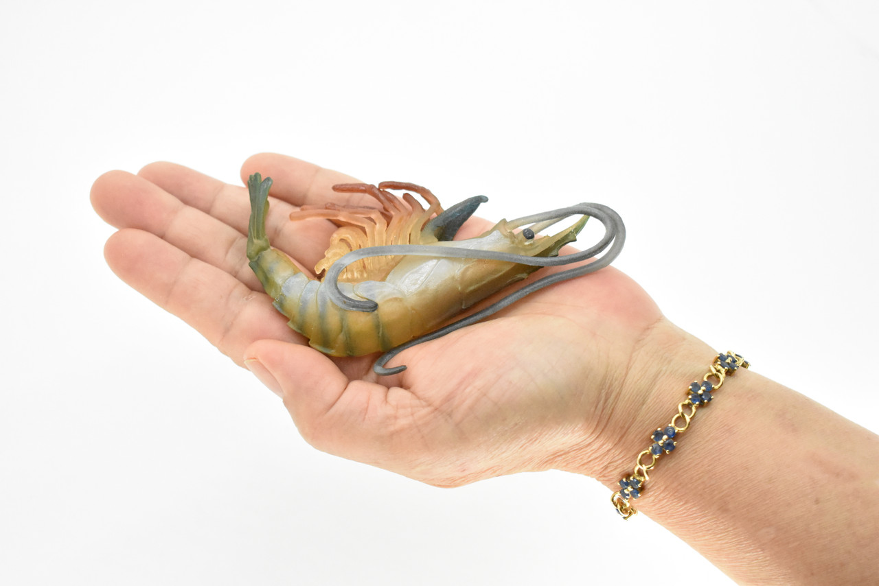 An application scenario or product detail of rubber toy squeaky shrimp - Image 20