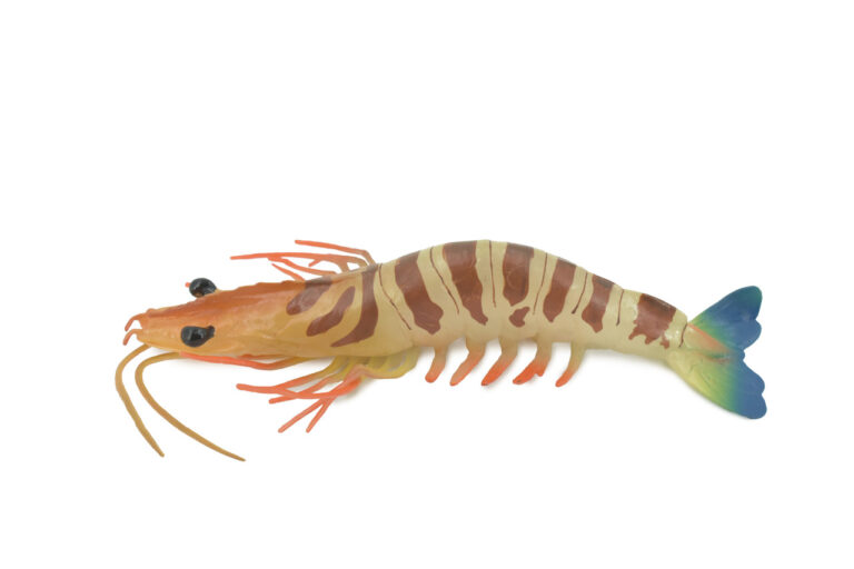 Featured image for the rubber toy squeaky shrimp guide