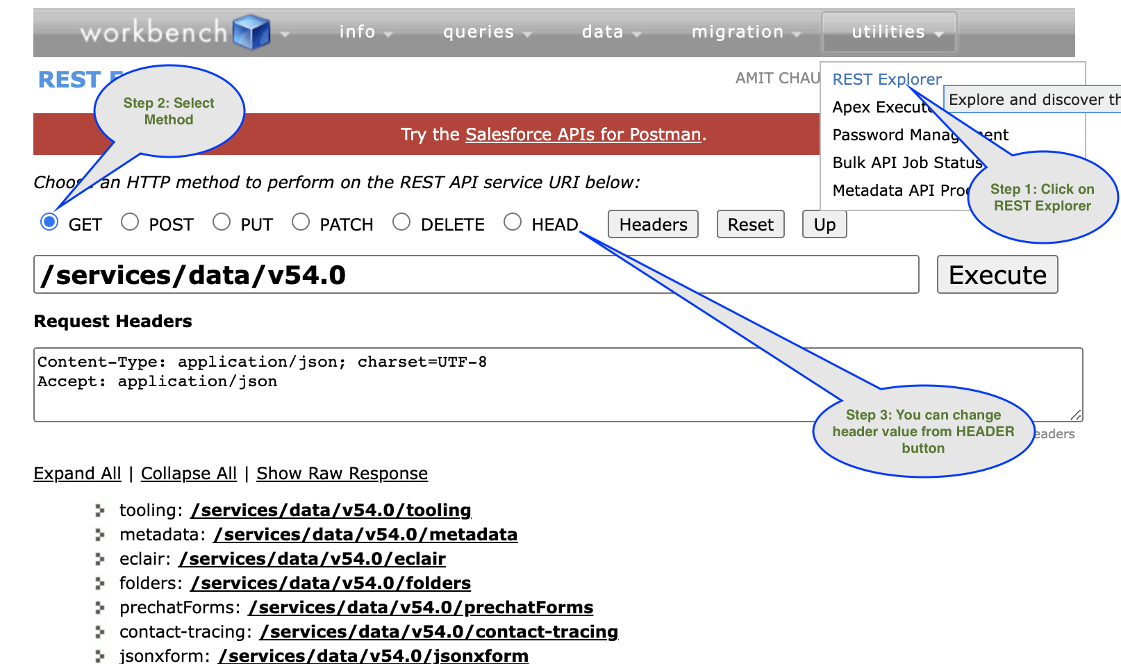 An application scenario or product detail of salesforce work bench - Image 9