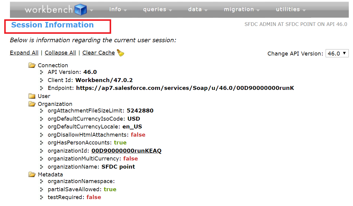 An application scenario or product detail of salesforce work bench - Image 14