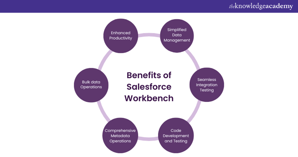 An application scenario or product detail of salesforce workbench - Image 10