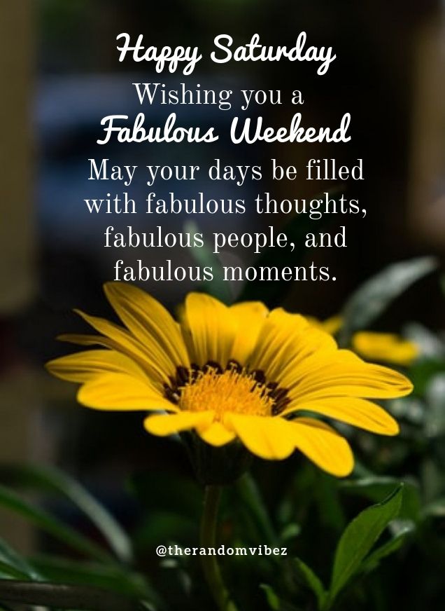 An application scenario or product detail of saturday inspirational quotes - Image 6