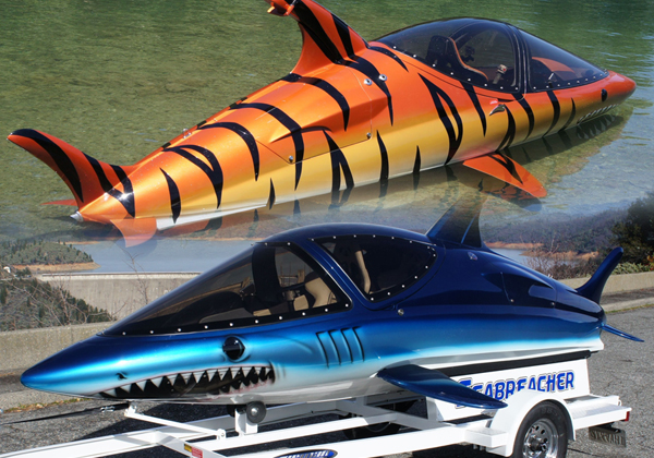 An application scenario or product detail of seabreacher price - Image 13