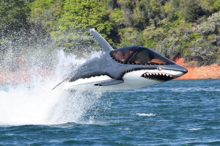 Featured image for the seabreacher price guide