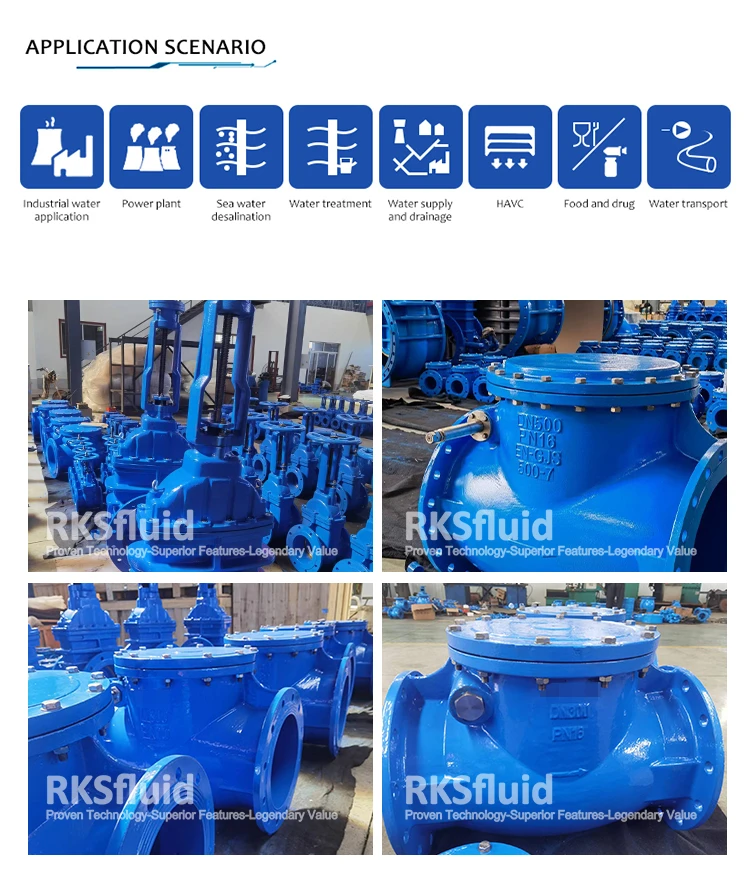 An application scenario or product detail of seat check valve - Image 5
