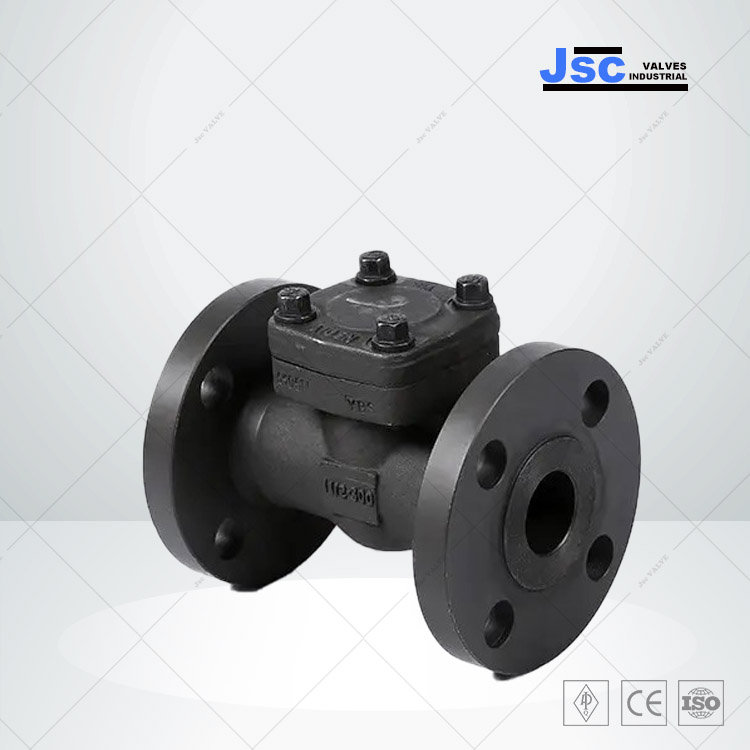An application scenario or product detail of seat check valve - Image 21
