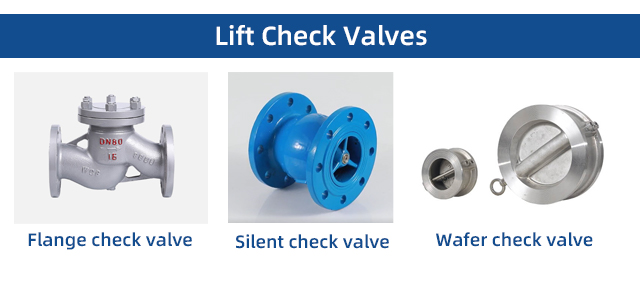 An application scenario or product detail of seat check valve - Image 22