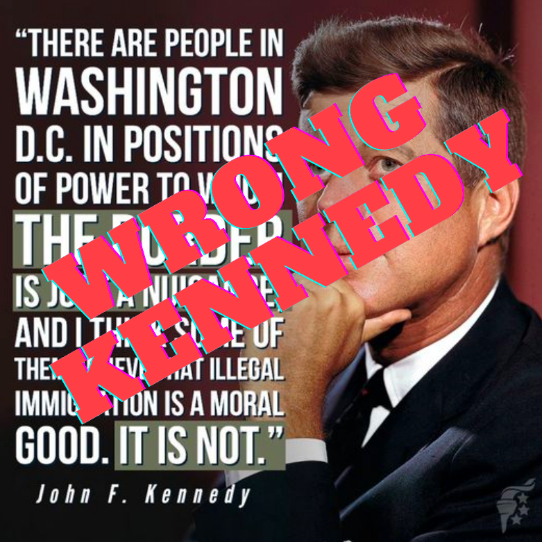 An application scenario or product detail of senator john kennedy funny quotes - Image 20