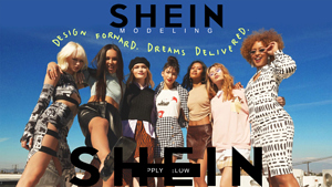 SHEIN - Product Review Program
