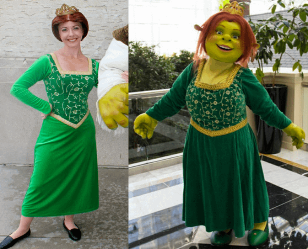 An application scenario or product detail of shrek and fiona costumes - Image 8