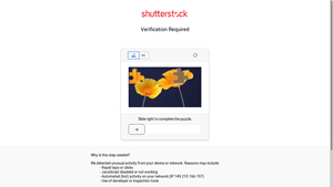 Shutterstock - Woman with Fake Boobs Stock Photos