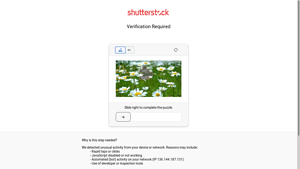 Shutterstock - API for Business Integration